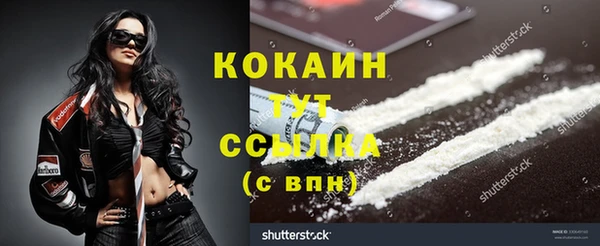 прущие крисы Няндома