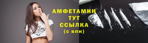 прущие крисы Няндома