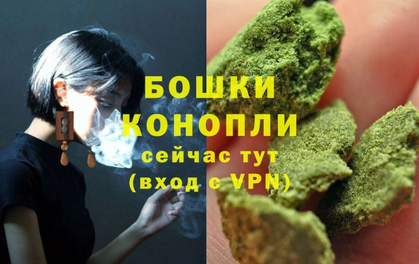 прущие крисы Няндома